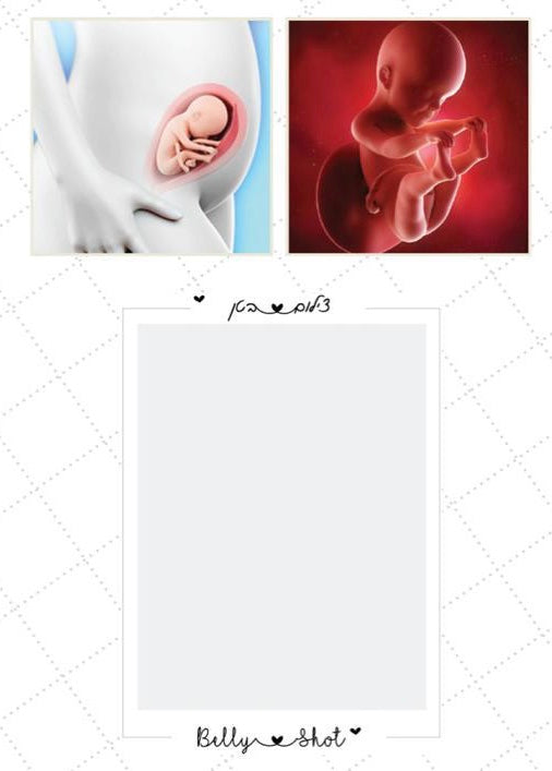 Pregnancy & Birth Journal