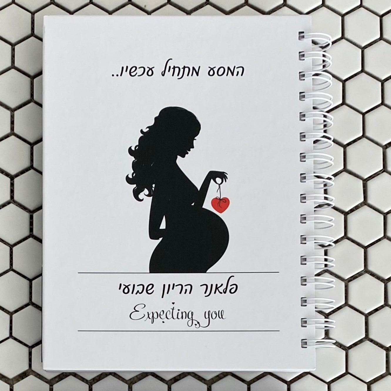 יומן הריון ולידה