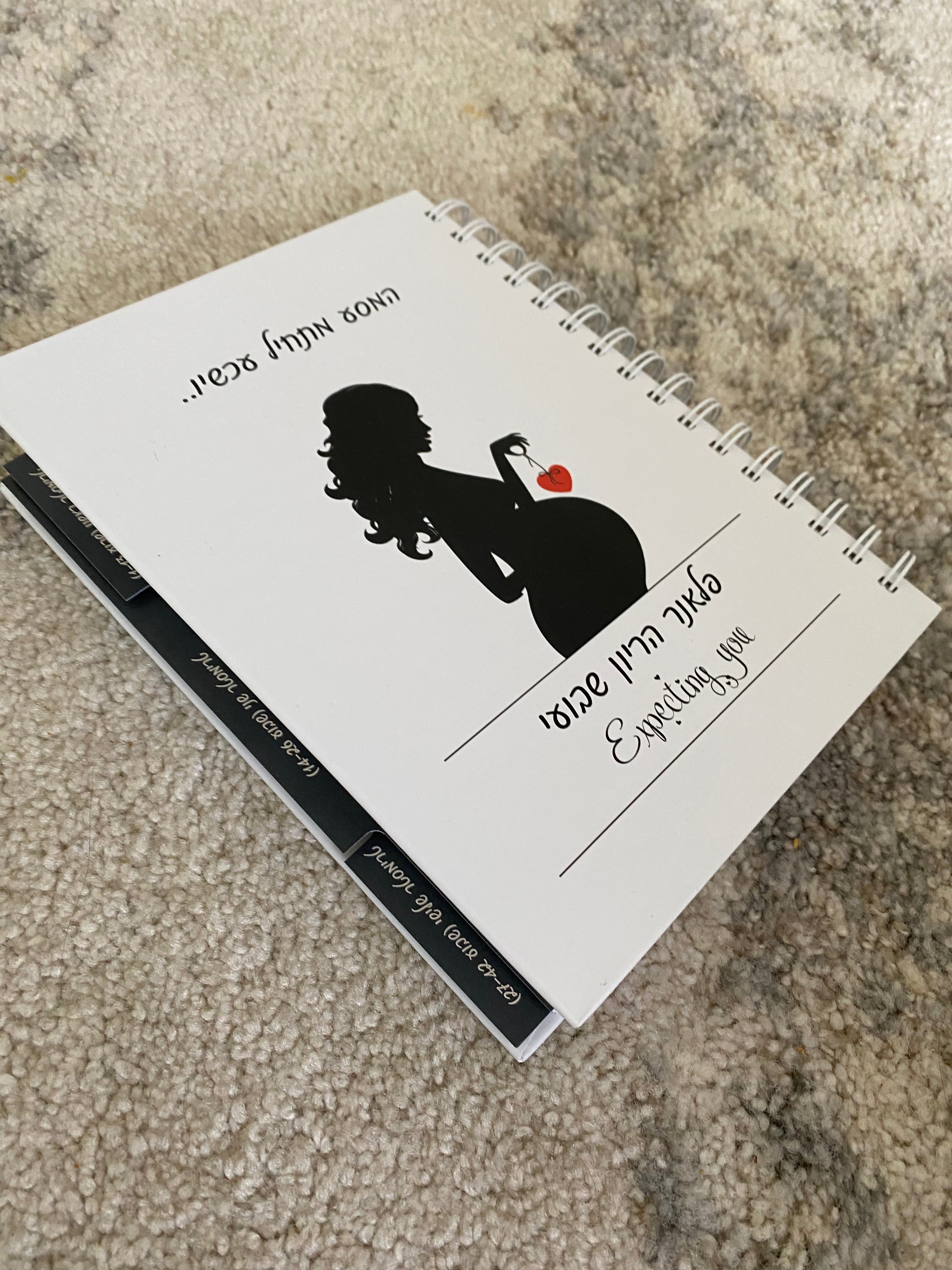 יומן הריון ולידה