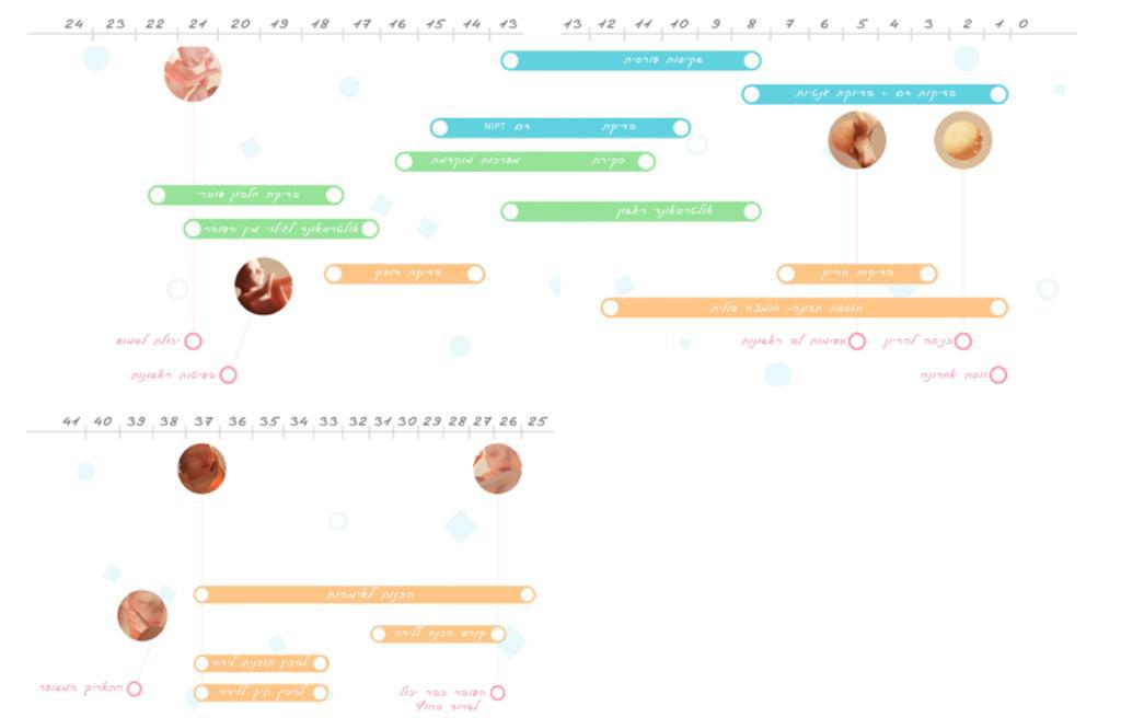 יומן הריון ולידה